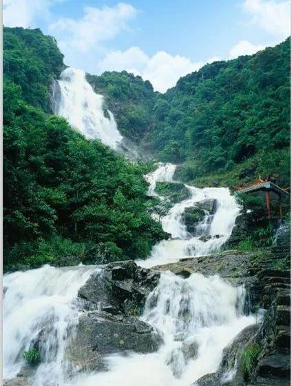 离婚男方不同意可以离吗游戏画面