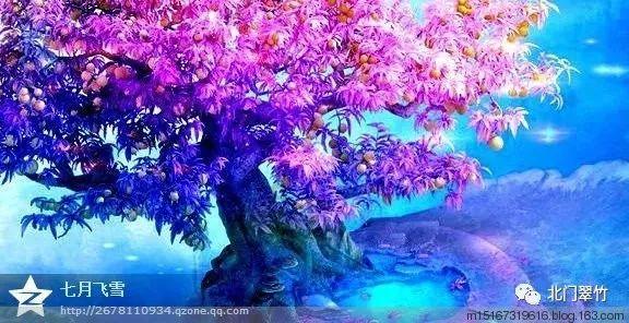 小猫钓鱼正版下载中文版